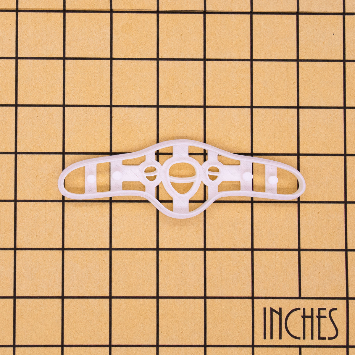 Dicot Leaf anatomy cookie Cutter