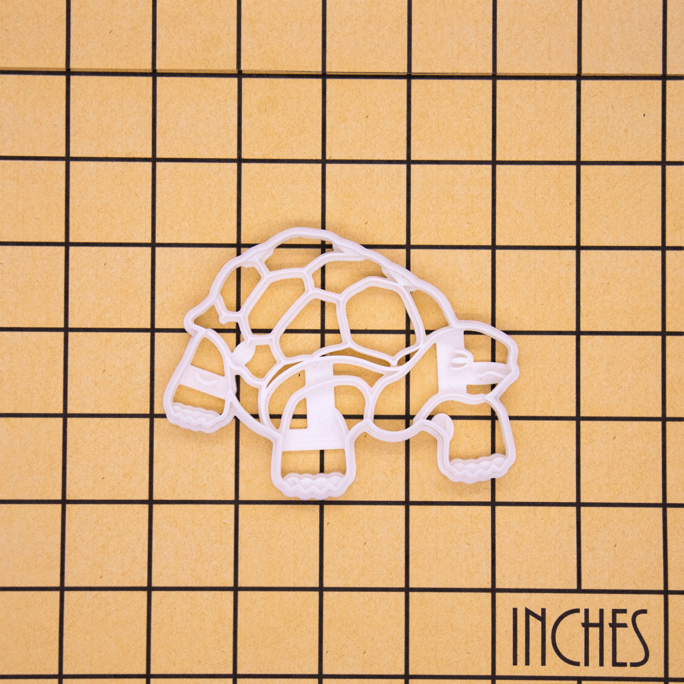 wise tortoise cookie cutter