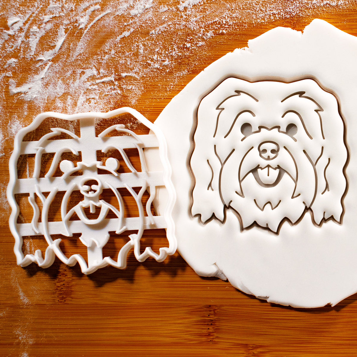 PROMO SET: Havanese Dog